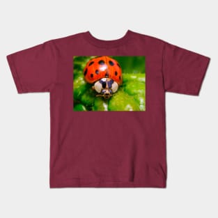 lil' Ladybug Macro Photograph Kids T-Shirt